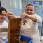 Récolte de miel au lycée hôtelier d&rsquo;Illkirch-Graffenstaden grâce aux abeilles et aux élèves.