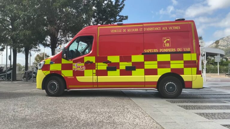 Un feu de camion ravage trois hectares de champ près de l’A57 à Cuers.