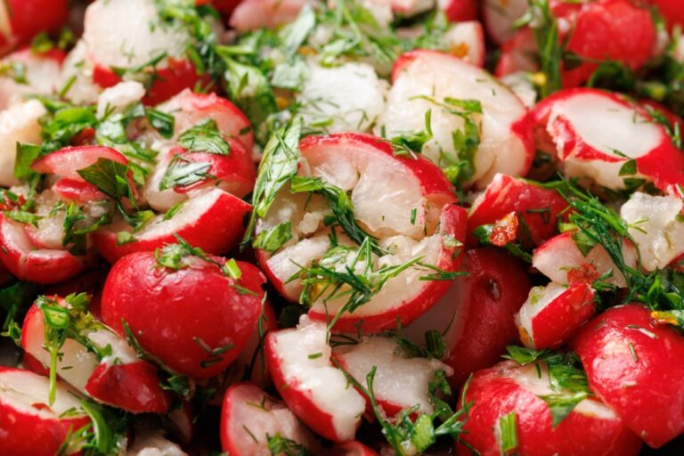 Recette de radis marinés au vinaigre avec persil, ail et aneth pour accompagner les plats.