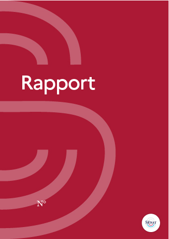 Évolution des valeurs sociales en France : projections du Sénat à l’horizon 2050