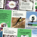 Upian Studio et Reporterre collaborent pour un projet sur la transition écologique en France.