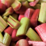 Rhubarbe et cholestérol : étude sur la consommation et ses effets potentiels.