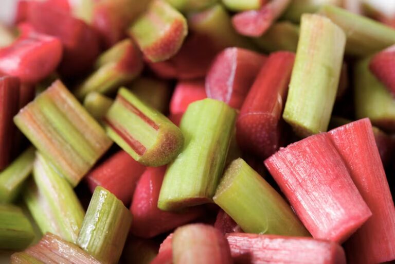 Rhubarbe et cholestérol : étude sur la consommation et ses effets potentiels.