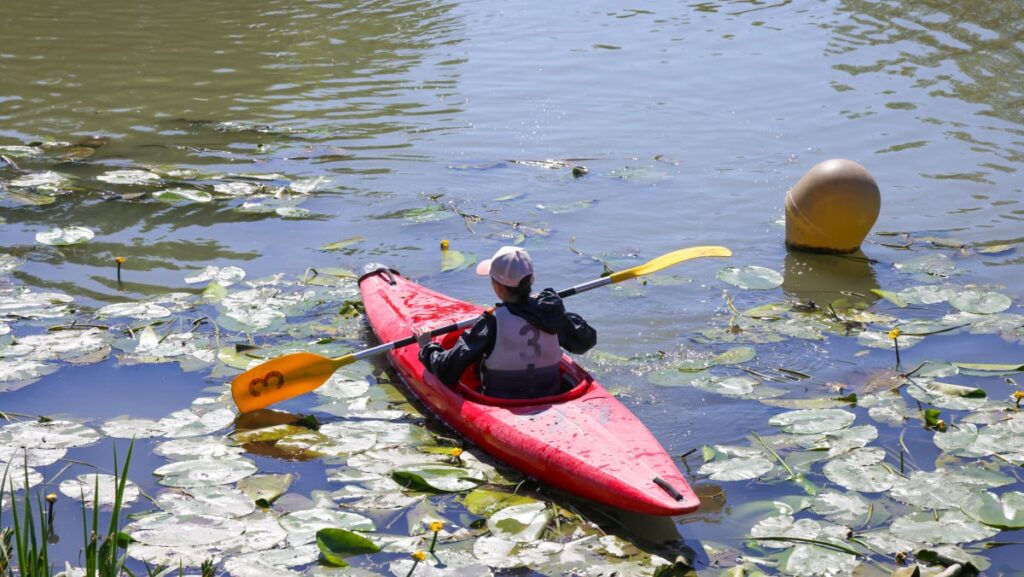 Épreuves sportives entre entreprises et chercheurs d’emploi à la base nautique de Vitrolles