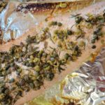 Saumon farci : une recette de Jamie Oliver pour une préparation culinaire simplifiée.
