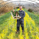 Les Halles de producteurs 100 % locales rouvrent leurs étals à Paris.