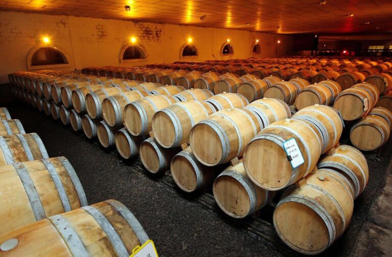 Les Millésimades à Buzet valorisent les viticulteurs comme conseillers pour la clientèle.