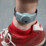 Condamnation à six mois de prison ferme pour un homme ayant giflé sa compagne en Charente-Maritime.