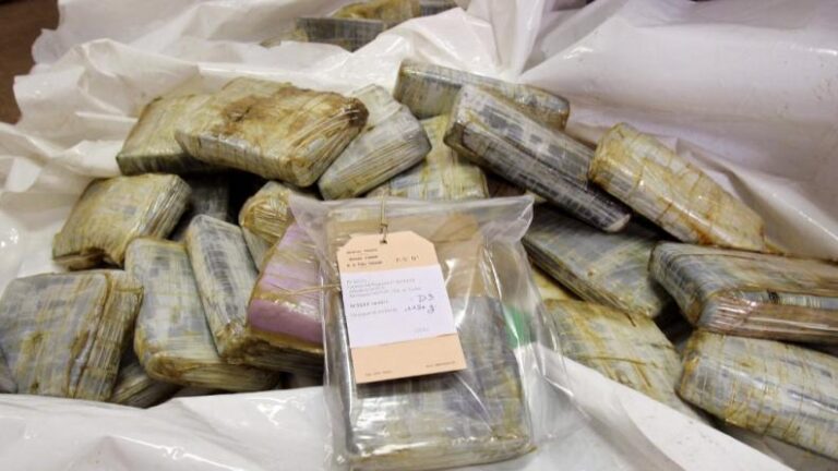 Lutte contre le narcotrafic : le gouvernement mexicain intensifie les opérations dans le pays.