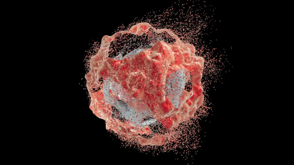 Des chercheurs identifient une méthode pour provoquer l’autodestruction des cellules cancéreuses du pancréas.