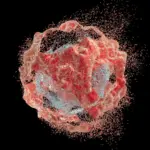 Des chercheurs identifient une méthode pour provoquer l&rsquo;autodestruction des cellules cancéreuses du pancréas.