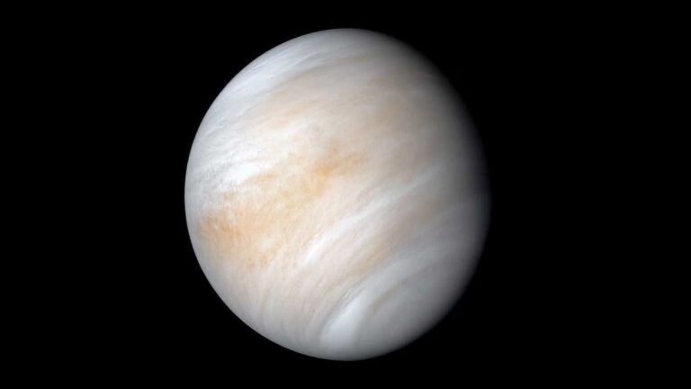 Une étude révèle qu’une catastrophe cosmique pourrait expliquer la rotation inversée de Vénus.