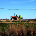 Un agriculteur à la retraite aide ses enfants à gérer l&rsquo;exploitation familiale sans déclaration.