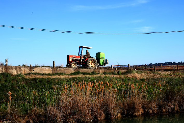 Un agriculteur à la retraite aide ses enfants à gérer l’exploitation familiale sans déclaration.
