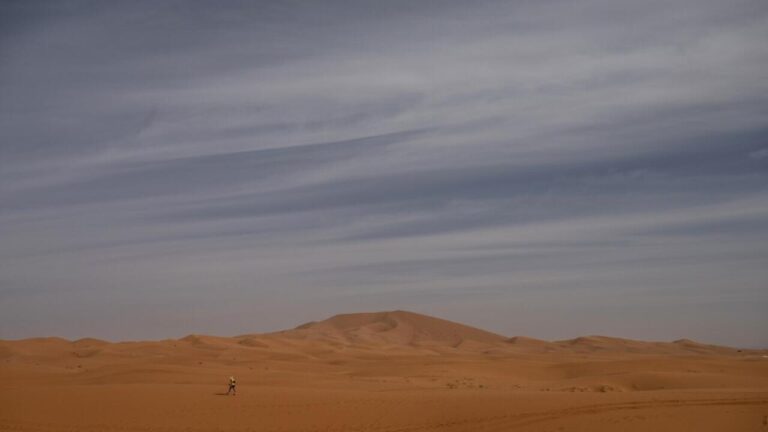 Le Sahara intensifie les canicules tout en fertilisant les terres et les mers.