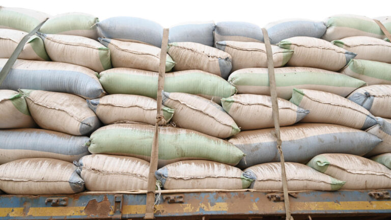 Sénégal : la filière riz appelle l’État à agir face à l’accumulation des stocks locaux.