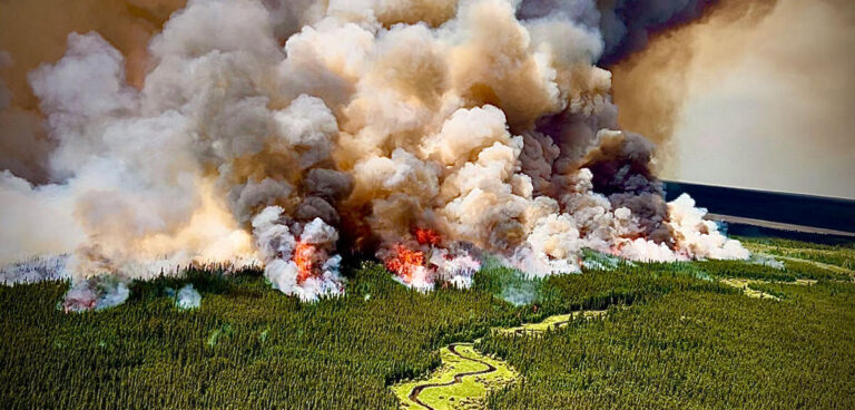 La recherche scientifique sur les incendies en France et ses conséquences environnementales.