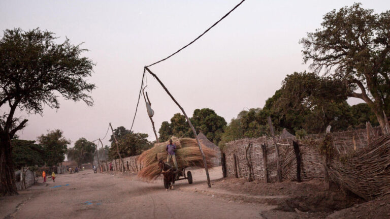 Attaque violente à Am Dafok, localité centrafricaine près de la frontière soudanaise.