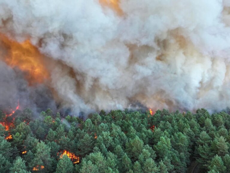 Incendie en forêt de Fontainebleau menace des paysages historiques de la peinture française.
