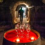 Vacances en Béarn : découverte d’un tunnel souterrain de 170 mètres au Chai Doléris