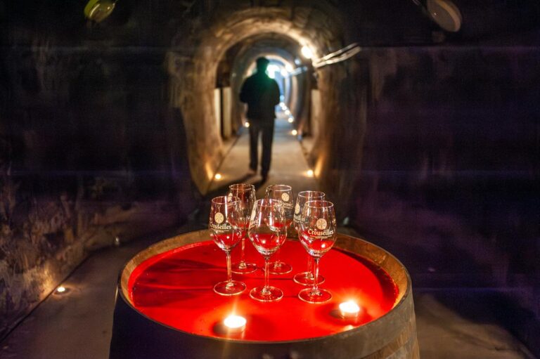 Vacances en Béarn : découverte d’un tunnel souterrain de 170 mètres au Chai Doléris