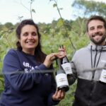 Vacances dans les Landes : le domaine de la Pointe propose des vignes en bord de mer
