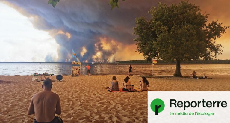 Incendies en Gironde : résidents évacuent, certains perdent leur logement.