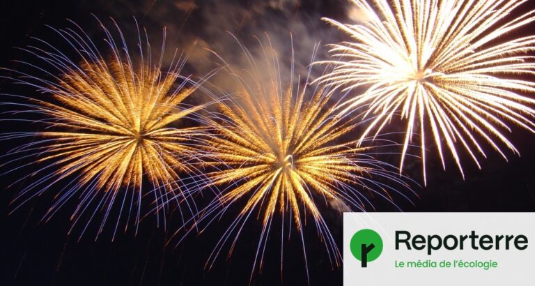Fête nationale des États-Unis : 850 000 feux d’artifice affectent la qualité de l’air