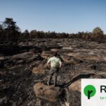 Incendies à Fontainebleau : la forêt continue de brûler sous terre malgré les efforts de lutte.