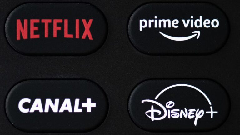 Netflix, Disney+ et Prime Video contestent les obligations françaises pour l’animation