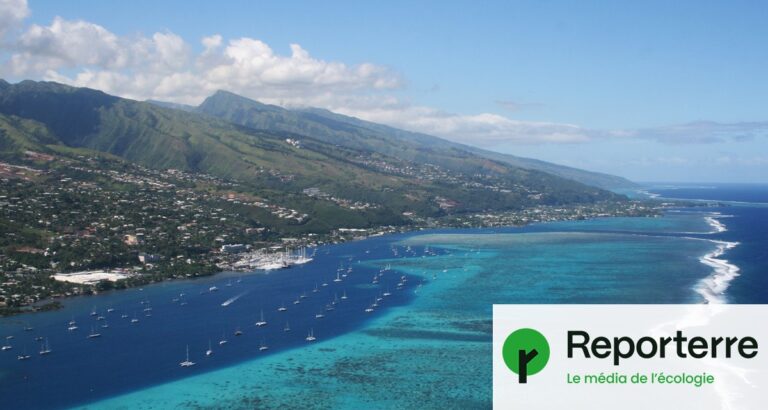 Changement climatique : la sécurité alimentaire des petites îles menacée par la pêche et l’agriculture.