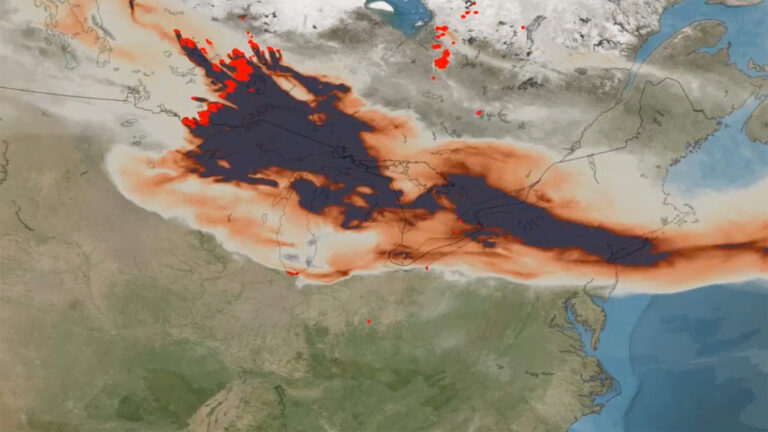 Canada confronté à des incendies de forêt : analyse des causes et des responsabilités.