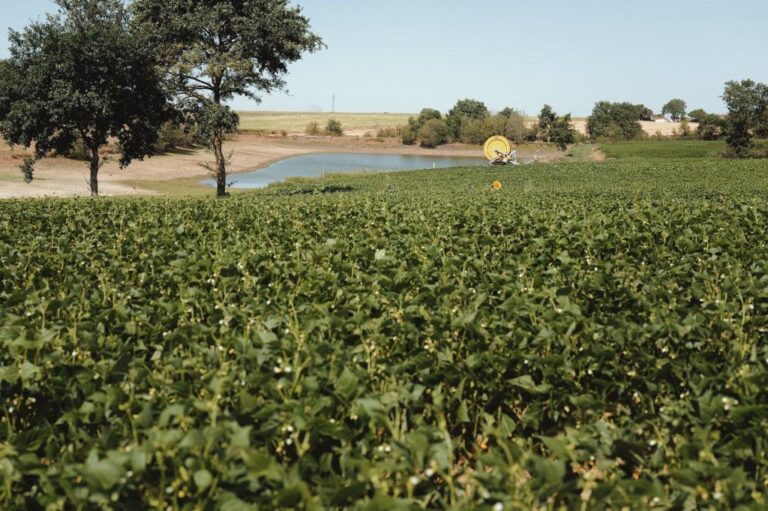 Destruction de quatre réserves d’eau en Charente-Maritime : tensions dans le secteur agricole.