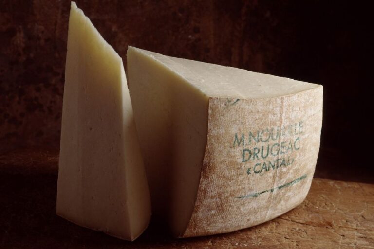 Canicules répétées : la production de fromages Cantal et Salers menacée par la sécheresse.