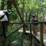 Vacances en famille : six parcs animaliers en France pour sensibiliser à la protection de la nature