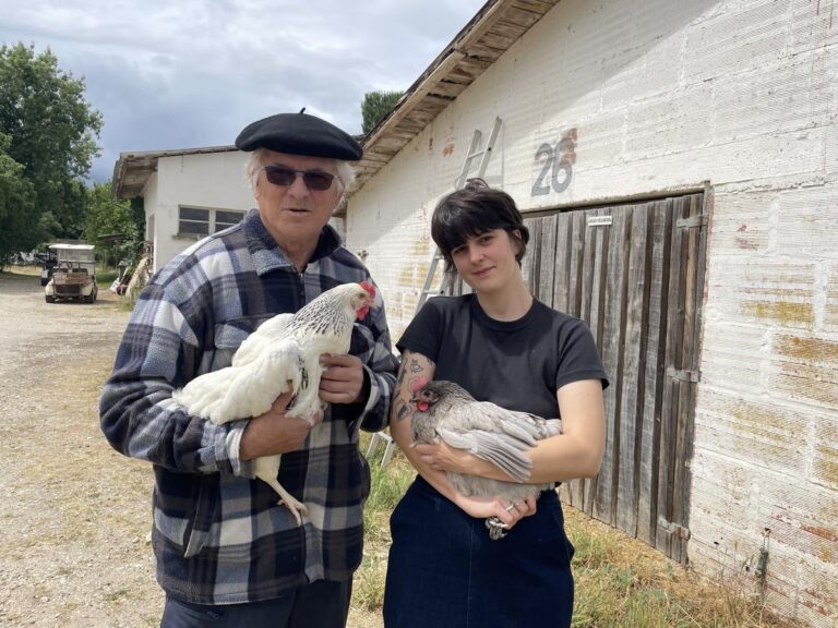 Visites de fermes et marché de producteurs entre Charente-Maritime et Dordogne.
