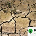 El Niño pourrait atteindre des niveaux d&rsquo;intensité record, selon les climatologues.