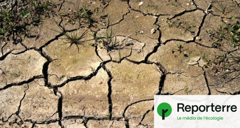 El Niño pourrait atteindre des niveaux d’intensité record, selon les climatologues.