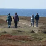 Décès du maire de Locmaria après une altercation avec un plaisancier à Belle-Ile-en-Mer