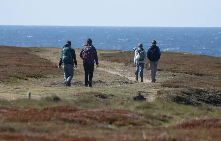 Décès du maire de Locmaria après une altercation avec un plaisancier à Belle-Ile-en-Mer