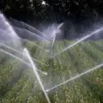 Loi d’urgence agricole : l’eau menacée par les besoins du secteur agricole en France.