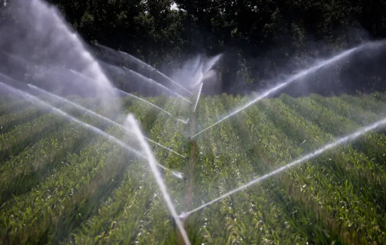 Loi d’urgence agricole : l’eau menacée par les besoins du secteur agricole en France.