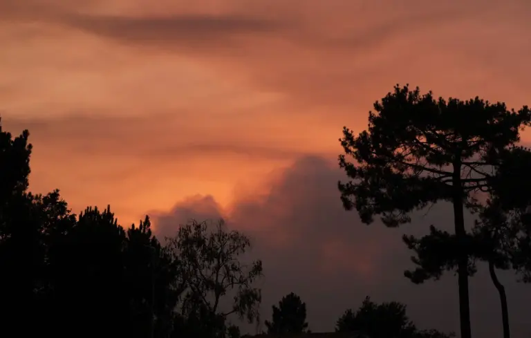 Incendies dans le Sud-Ouest : Origine des pyrocumulonimbus, appelés « orages de feu »