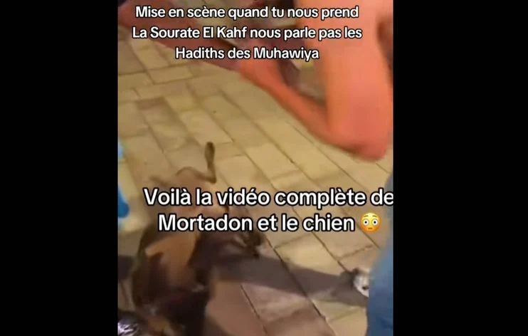 Mortadon filmé en Albanie en train de frapper un chien, vidéo suscite l’indignation.