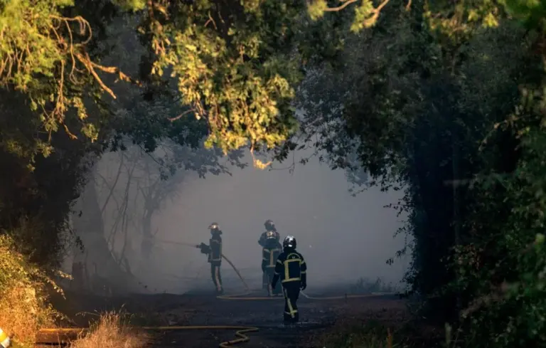 Nantes : Découverte de plus de 150 plants de cannabis lors de l’évacuation d’un bidonville incendié