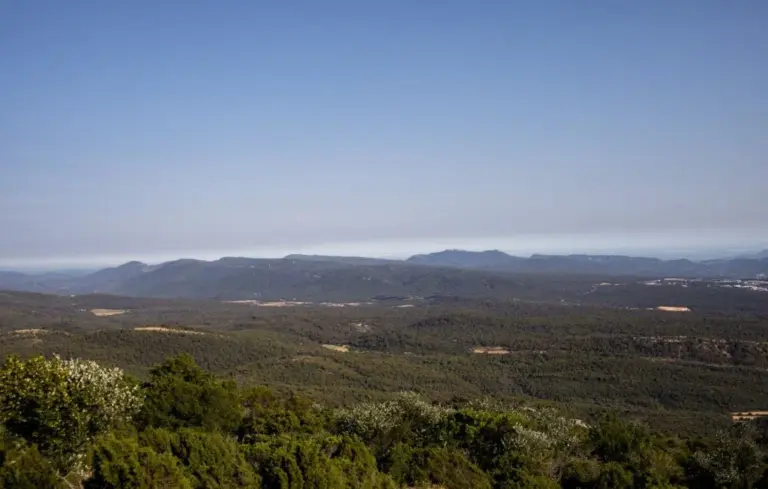 Massifs fermés dans les Bouches-du-Rhône en raison d’un risque d’incendie très sévère