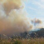 Incendie dans le Minervois : 800 hectares brûlés, le feu stabilisé malgré des conditions difficiles.