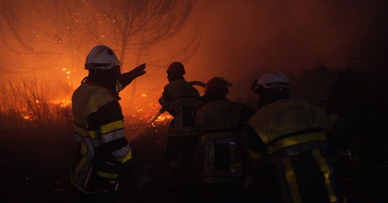 Incendies dans les Bouches-du-Rhône : deux feux maîtrisés à Rognac et Lançon-Provence
