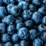 Brimbelles des Vosges : choix, congélation et cuisson selon les recommandations agricoles.