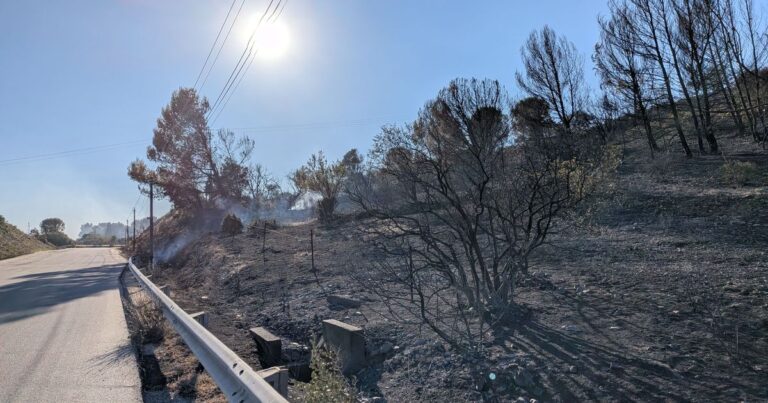Incendie à Roquemaure : 25 hectares brûlés, 11 maisons évacuées, feu éteint.